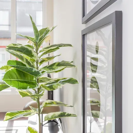 Liiiving In - Luxury Gallery Ii * Porto